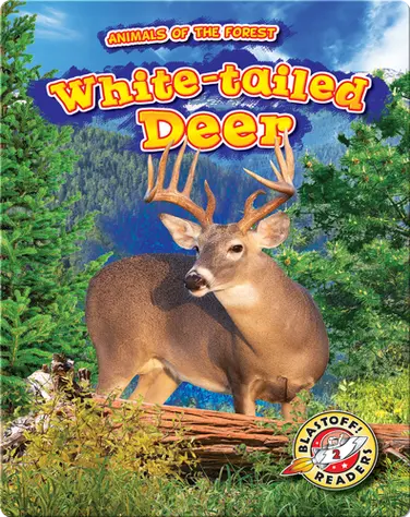 Animals of the Forest: White-tailed Deer book