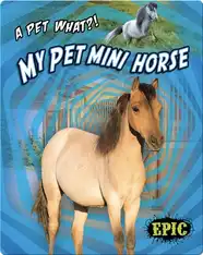 My Pet Mini Horse
