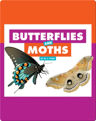 Comparing Animal Differences: Butterflies and Moths book