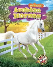 Saddle Up!: Arabian Horses