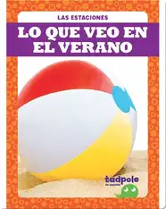 Lo que veo en el verano (What I See in Summer)