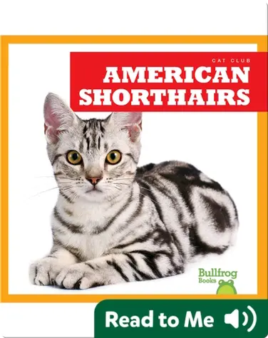 Cat Club: American Shorthairs book