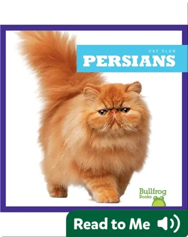 Cat Club: Persians book