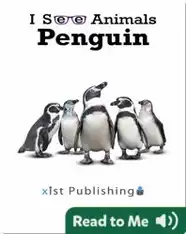 I See Animals: Penguin