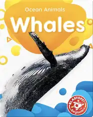 Ocean Animals: Whales
