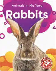 Animals in My Yard: Rabbits