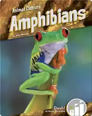 Animal Classes: Amphibians