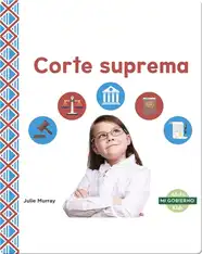 Mi gobierno: Corte suprema