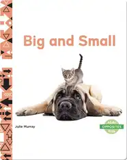 Opposites: Big and Small