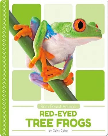 Rain Forest Animals: Red-Eyed Tree Frogs book