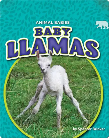 Animals Babies: Baby Llamas book