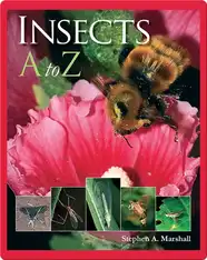 Insects A to Z