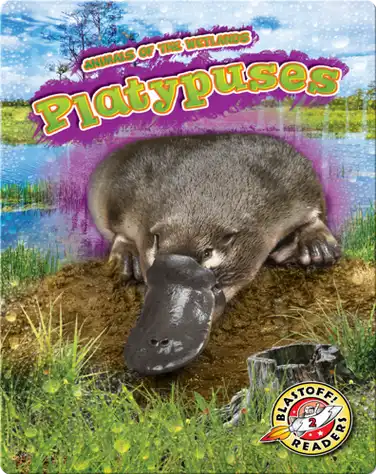 Animals of the Wetlands: Platypuses book