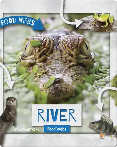 River Food Webs book