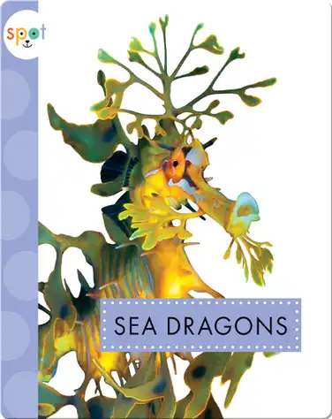 Ocean Animals: Sea Dragons book