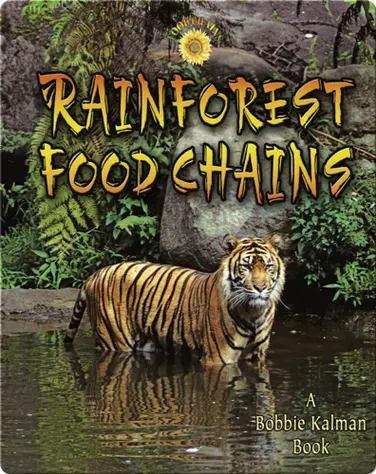 Rainforest Food Chains book
