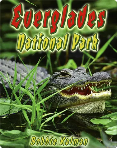 Everglades National Park book