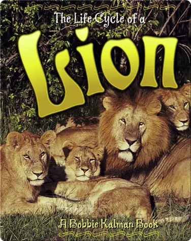 The Life Cycle of a Lion book