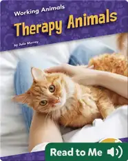 Working Animals: Therapy Animals