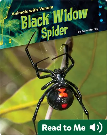 Animals with Venom: Black Widow Spider book