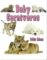 Baby Carnivores