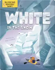 I Spy White in the Snow