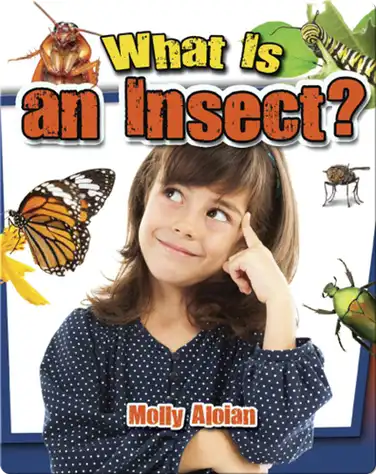 What is an Insect? book