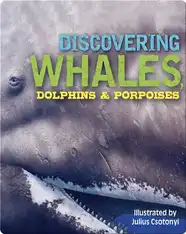 Discovering Whales, Dolphins, and Porpoises