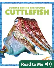 Science Behind the Colors: Cuttlefish