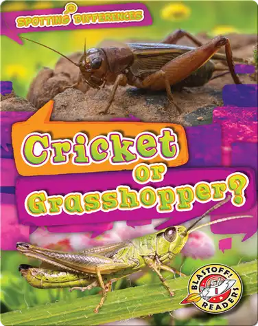 Spotting Differences: Cricket or Grasshopper? book