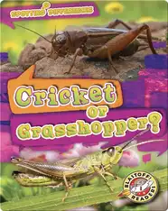 Spotting Differences: Cricket or Grasshopper?