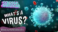Colossal Questions: What's a Virus?