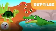 Smile and Learn Animals: Reptiles