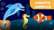 Animal Vocabulary: Aquatic Animals