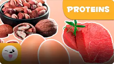 Healthy Eating: Proteins book