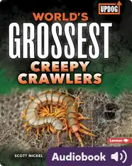 World's Grossest Creepy Crawlers