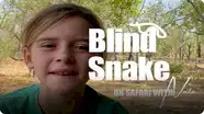 On Safari with Nala: Blind Snake