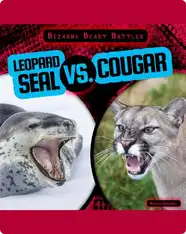 Bizarre Beast Battles: Leopard Seal vs. Cougar