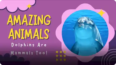 Amazing Animals: Dolphins are Mammals Too book