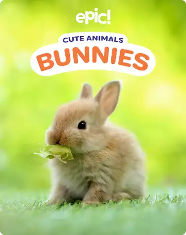 Cute Animals: Bunnies book