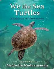 We the Sea Turtles