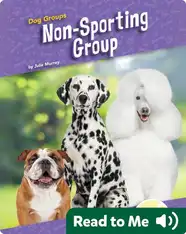 Non-Sporting Group
