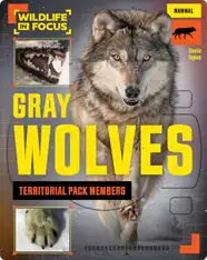 Gray Wolves: Territorial Pack Members