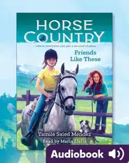 Horse Country #2: Friends Like These