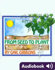 From Seed to Plant