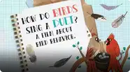 How Do Birds Sing a Duet