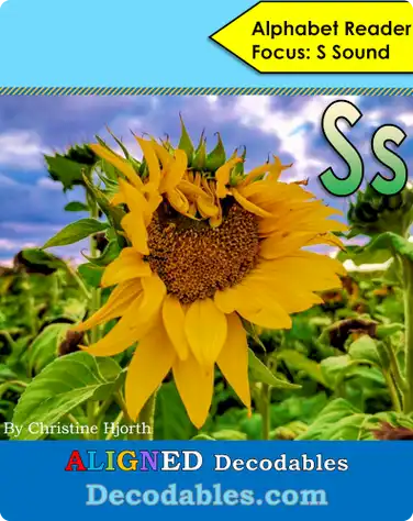 Ss Book book