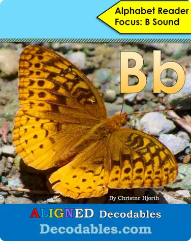 Bb Book book