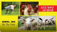 Animal DNA - On The Farm