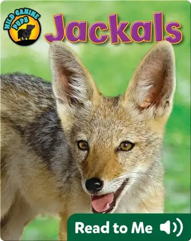 Jackals (Wild Canine Pups) book
